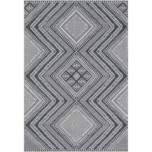 Ariana 2301 Rug