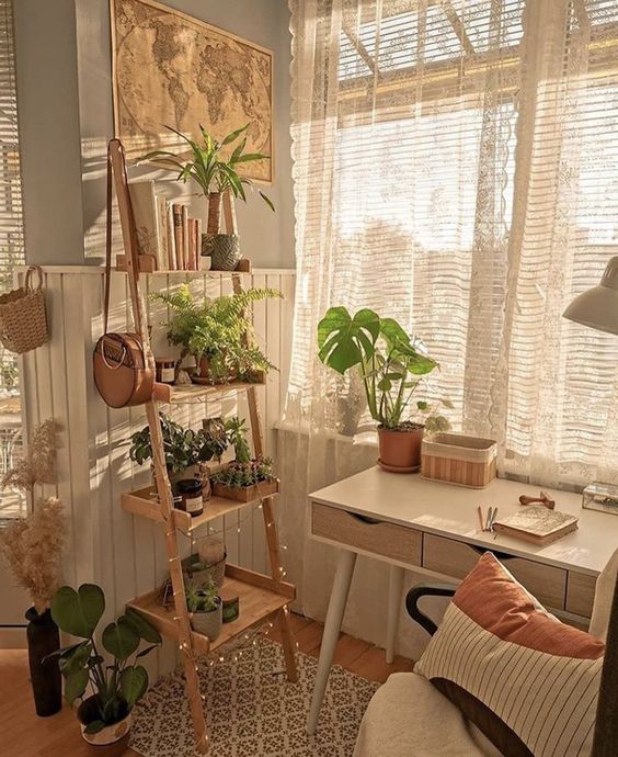 Why it’s Important to Name Your Houseplants