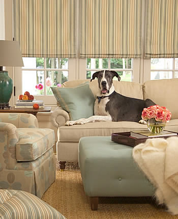 5 Pet Friendly Fabrics for Your Furniture