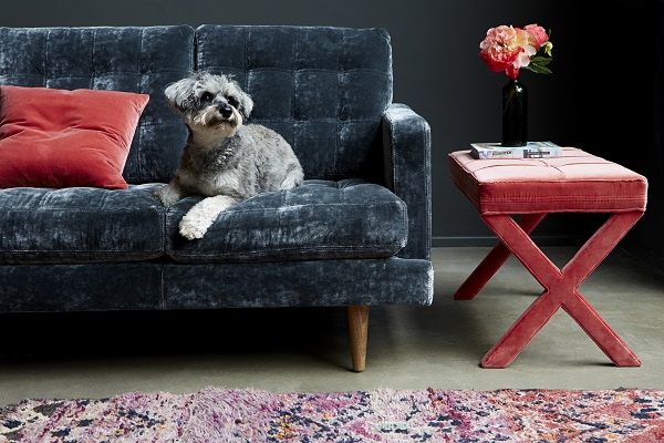 5 Pet Friendly Fabrics for Your Furniture